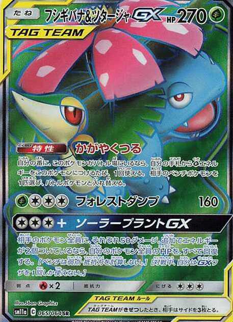 リザードン&テールナーGX【HR】{075/064} [SM11a]の詳細|ネット