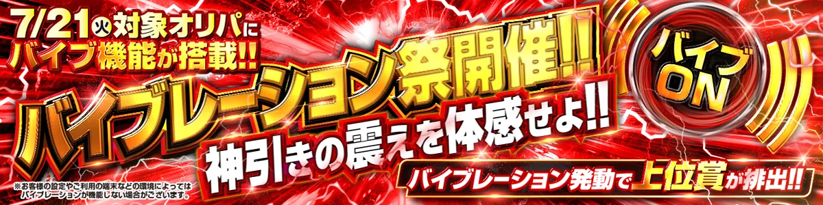バイブ祭